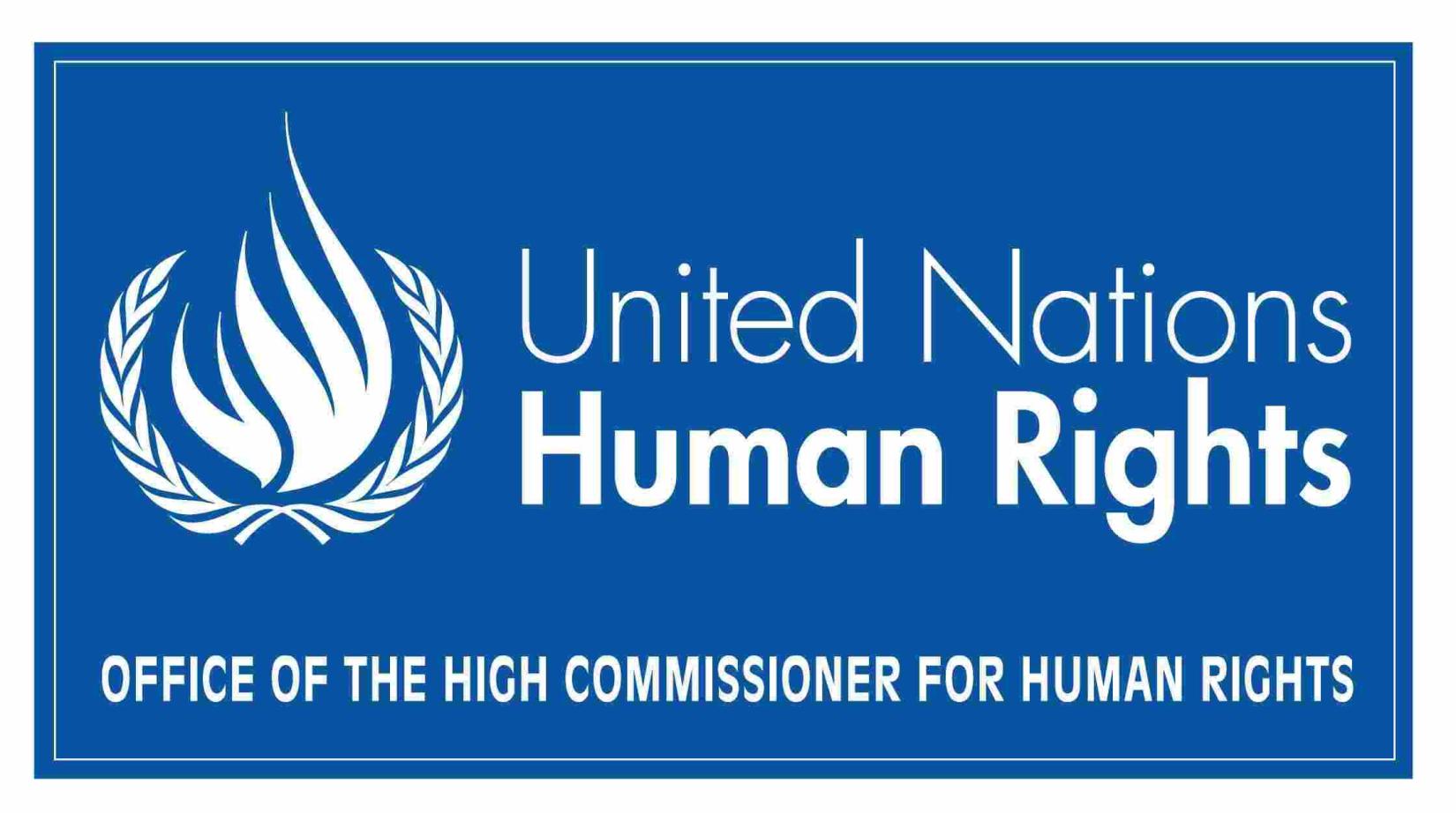 Submission of information to the Special Procedures