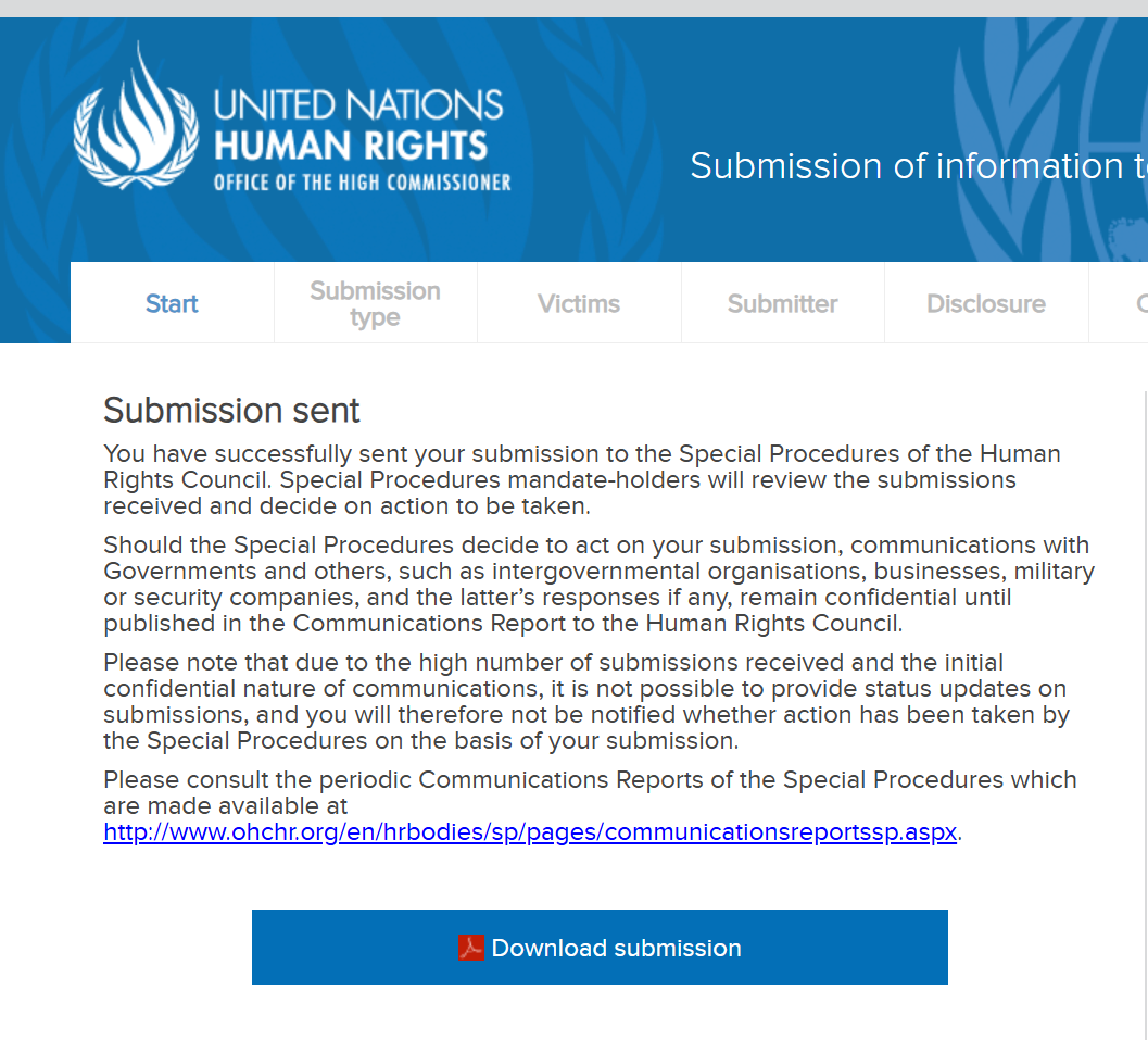 Submission of information to the Special Procedures 20