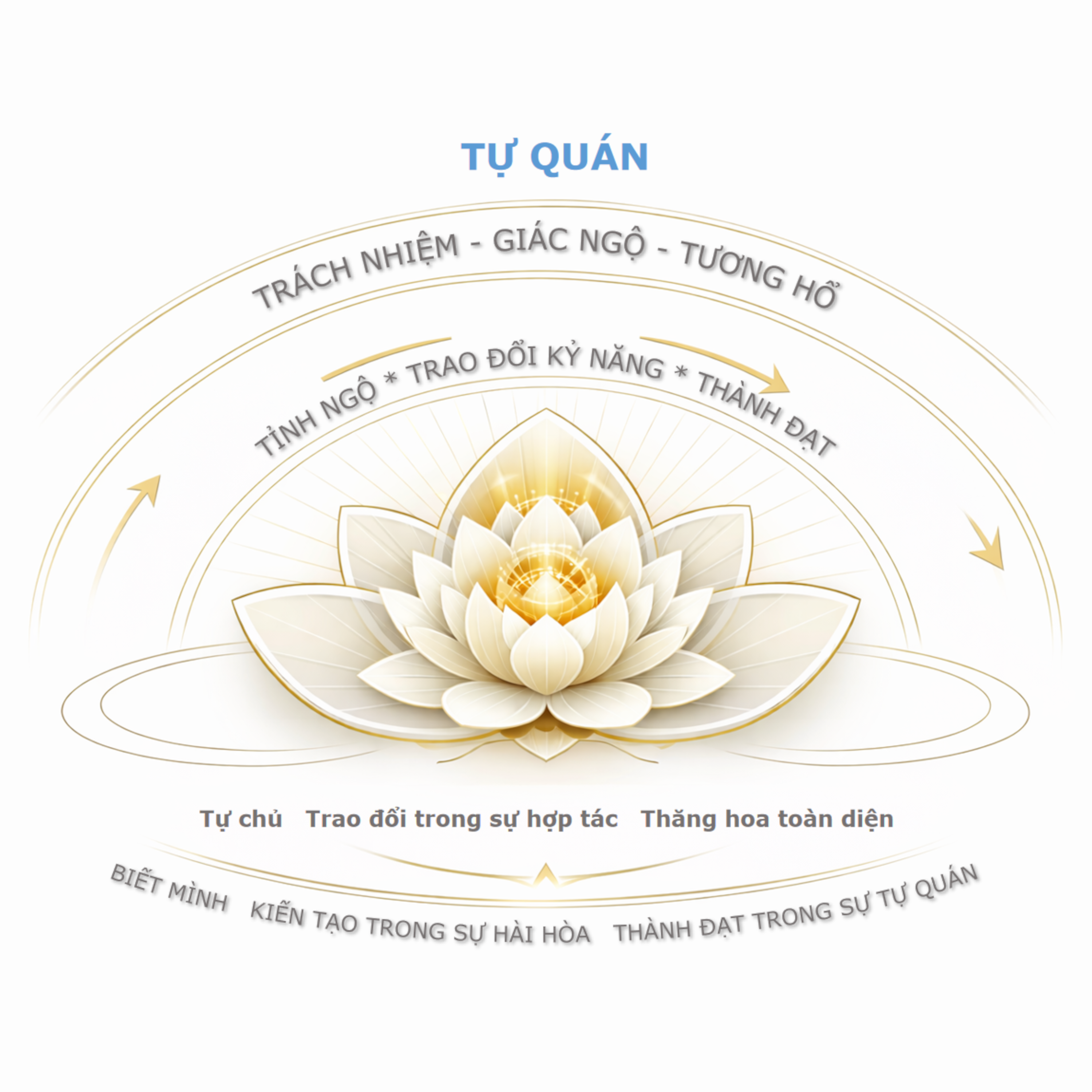 Meta Tự Quán