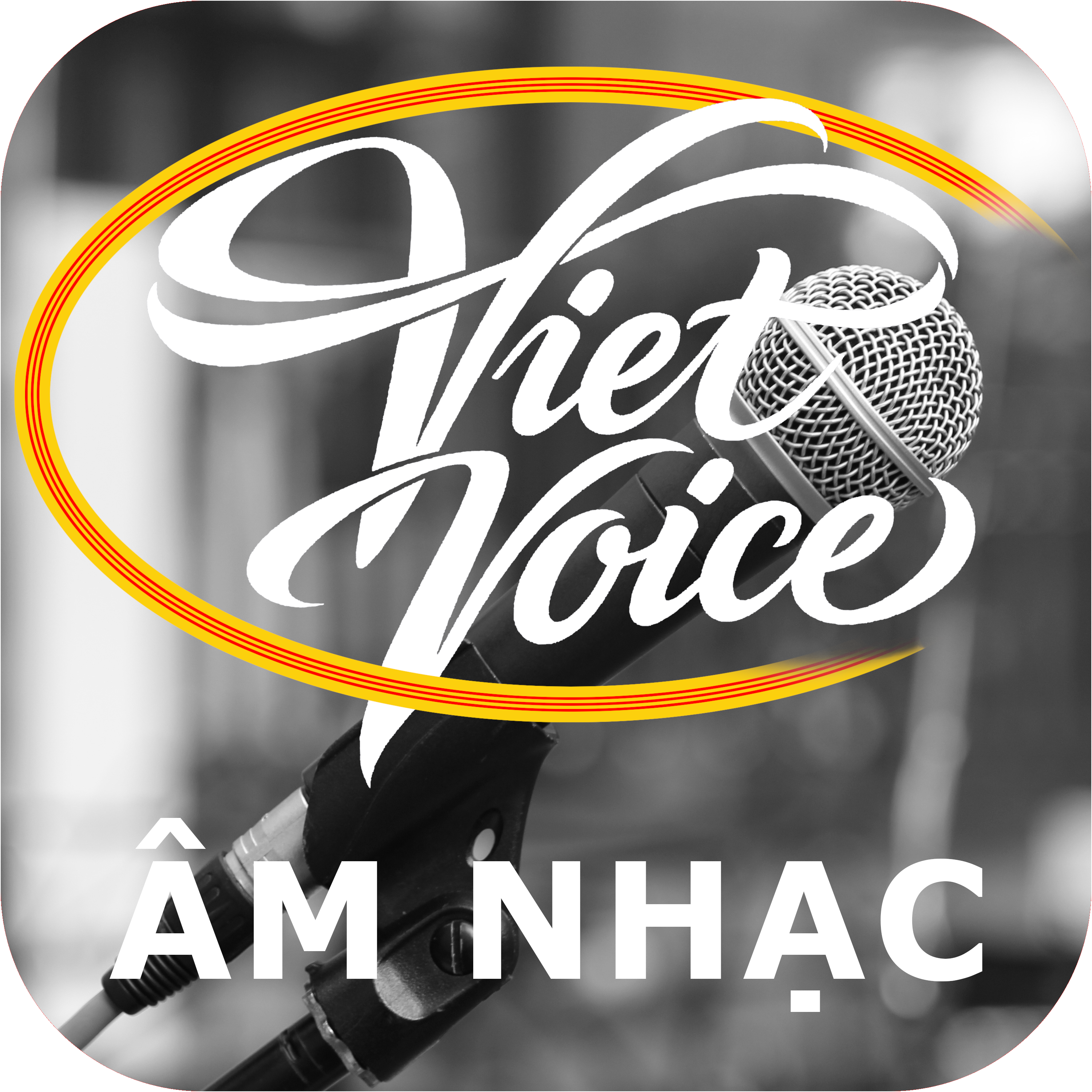 Viet Voice VN