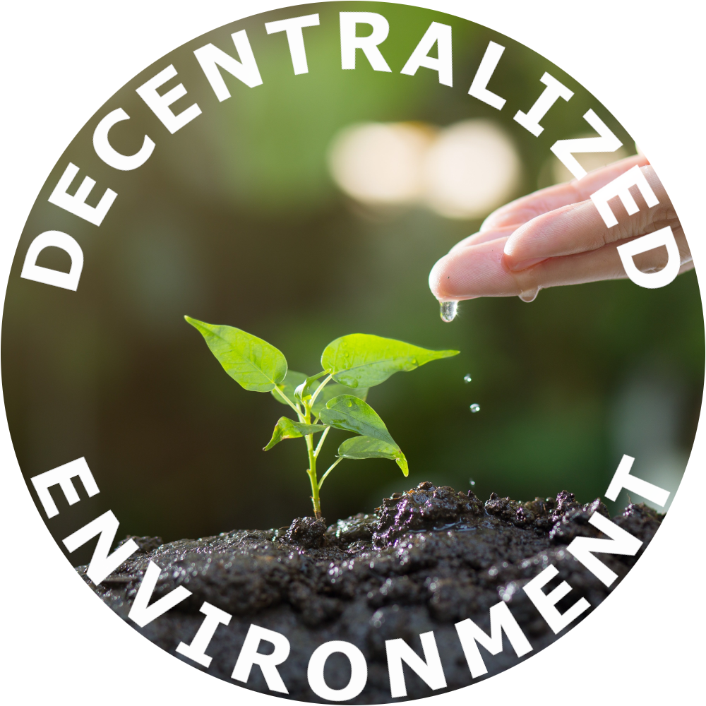 Decentralized Environment